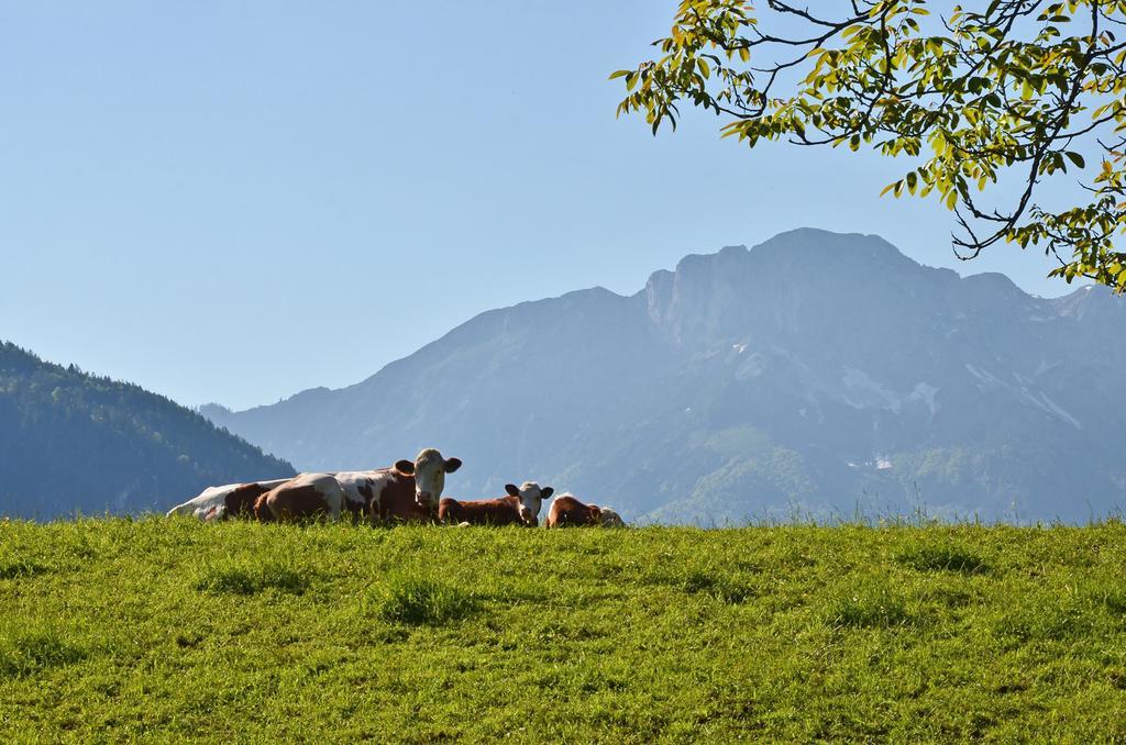 Ferienwohnungen Woferllehen Berchtesgaden Exterior photo